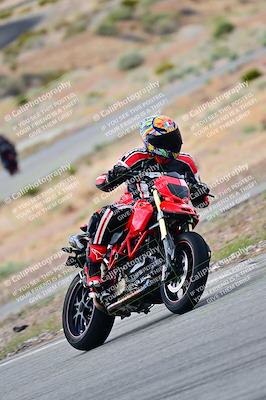 media/Apr-26-2025-2WTD (Sat) [[797c348bd3]]/C Group/240pm/